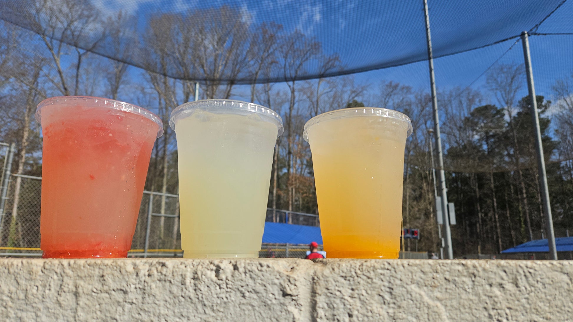 Freshly Squeezed Lemonade