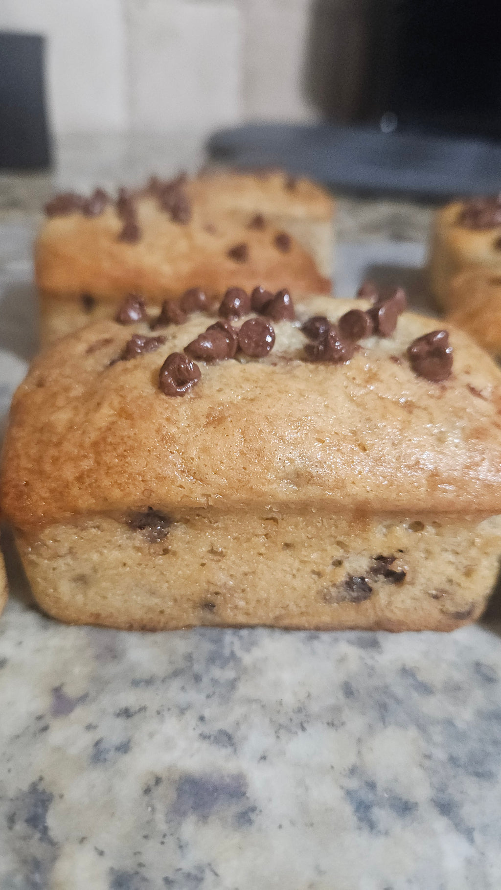 Choco-Crazed Loaf